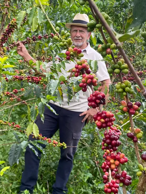 熟しつつあるチェリーが実る枝に囲まれ、自らのコーヒーの木々の間に立つカルロス・オルティス。